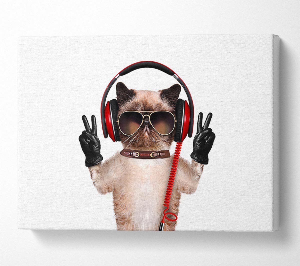 Musical Peace Cat Canvas Wall Art