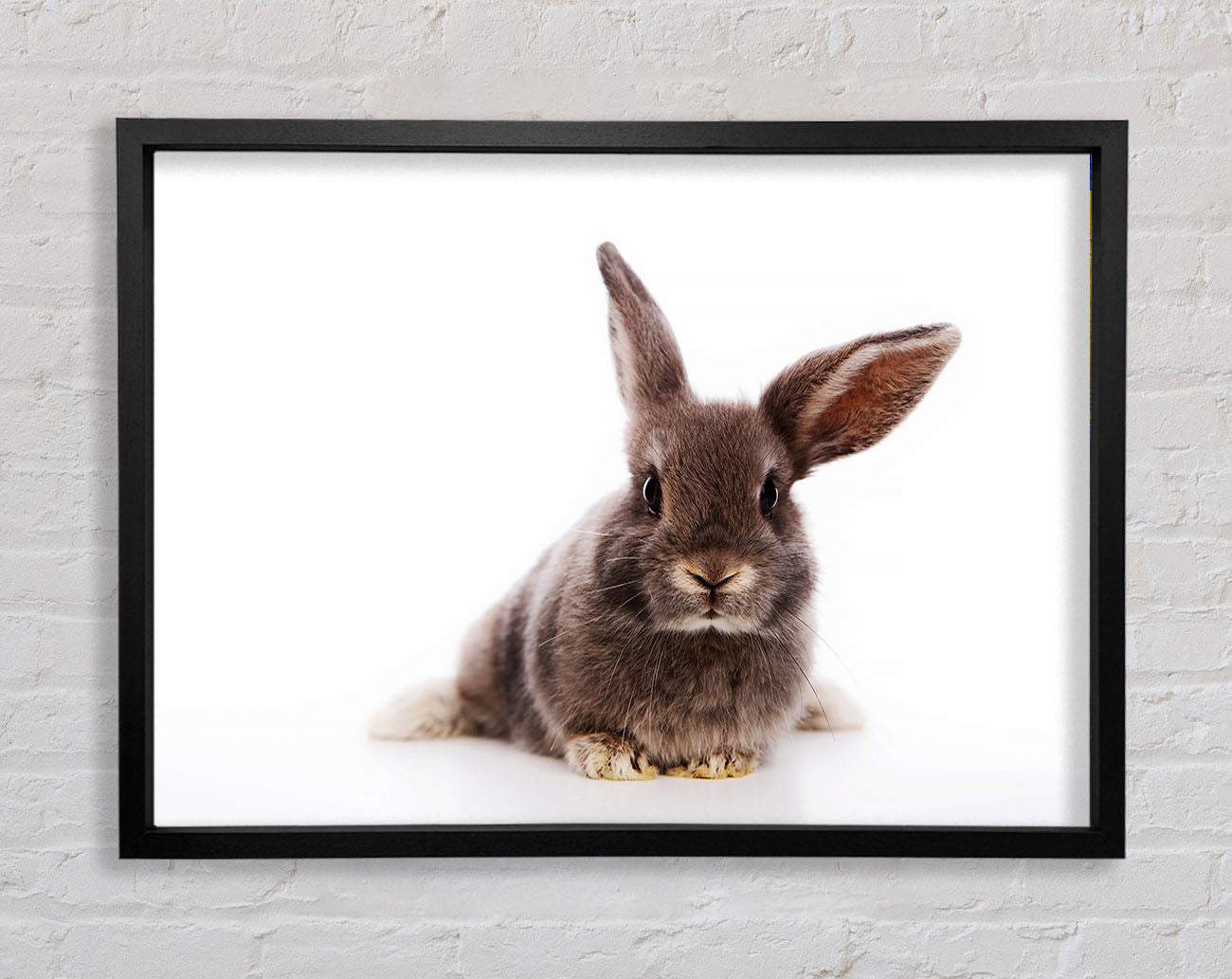 Curiosity Bunny Framed Wall Art