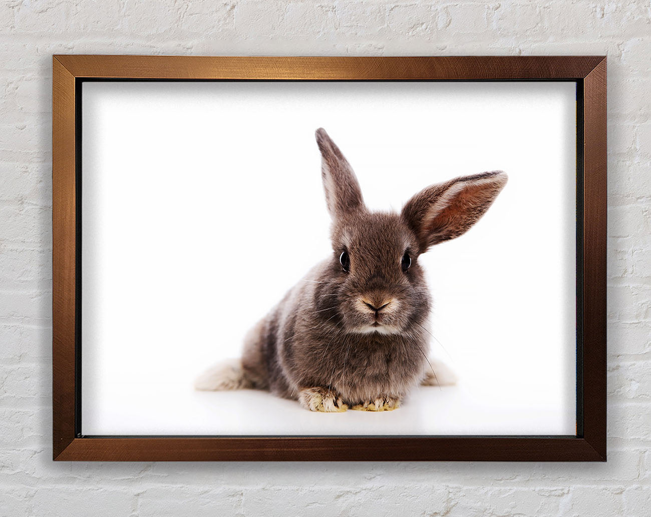 Curiosity Bunny Framed Wall Art