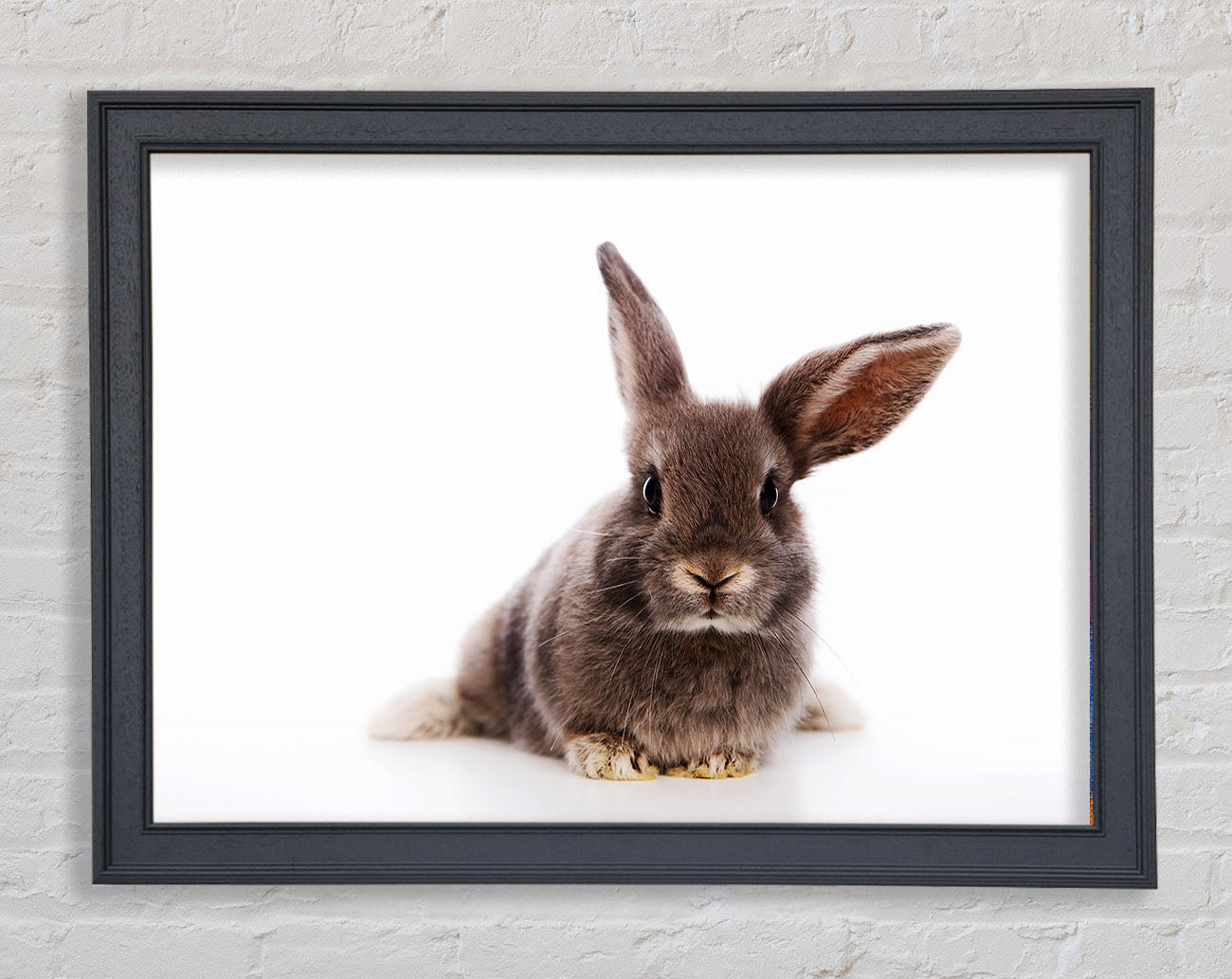 Curiosity Bunny Framed Wall Art