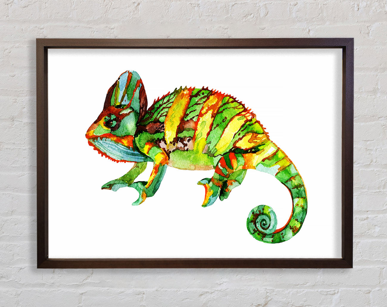 Chameleon Colours Framed Wall Art