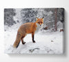 Snow Fox Canvas Wall Art