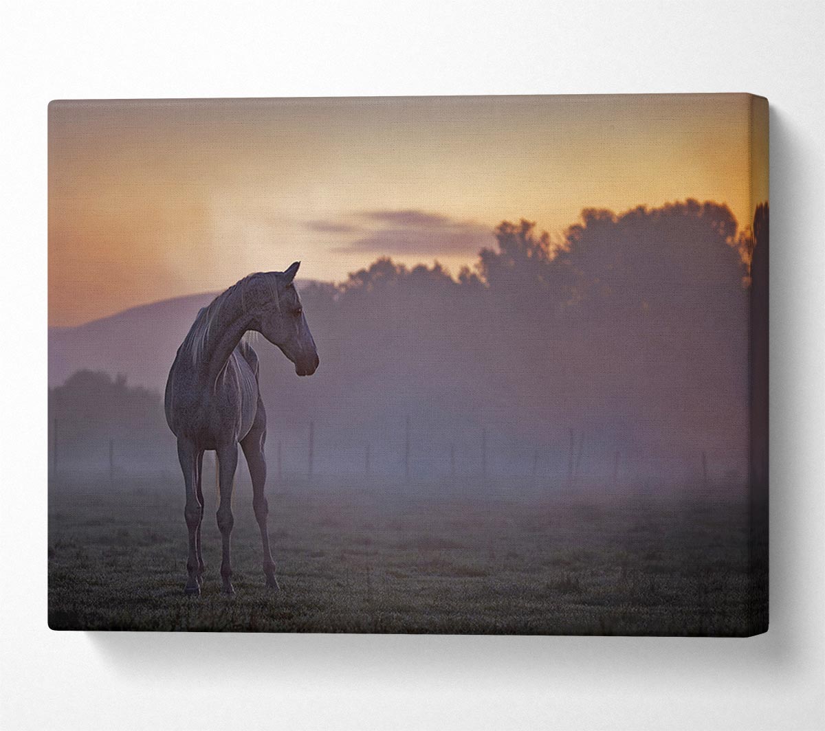 Sunrise Horse Canvas Wall Art