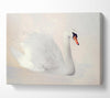 Stunning Swan Splash Canvas Wall Art