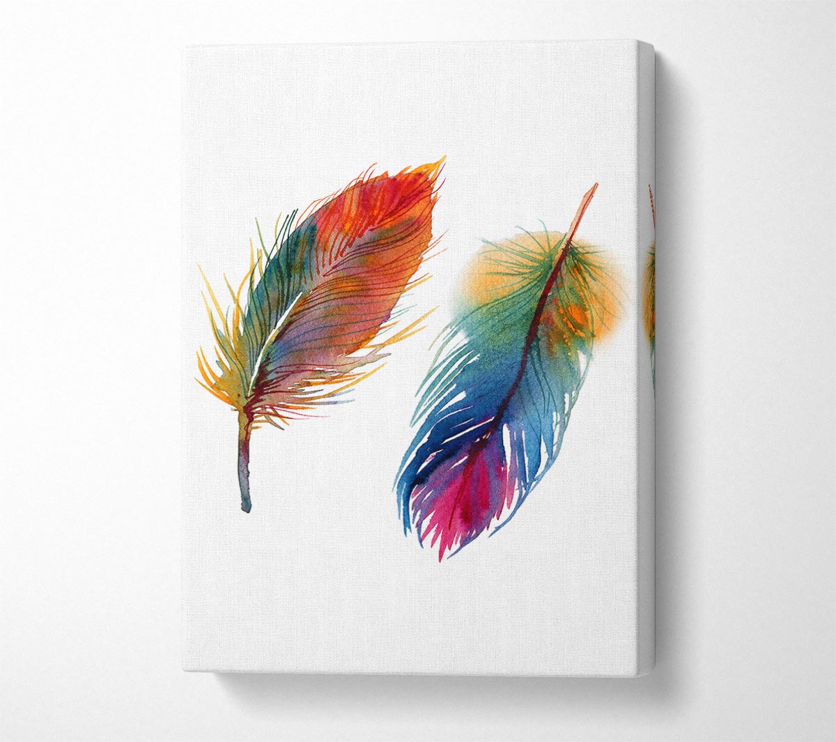 Rainbow Feathers Canvas Wall Art