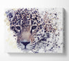 Leopard Splash Canvas Wall Art