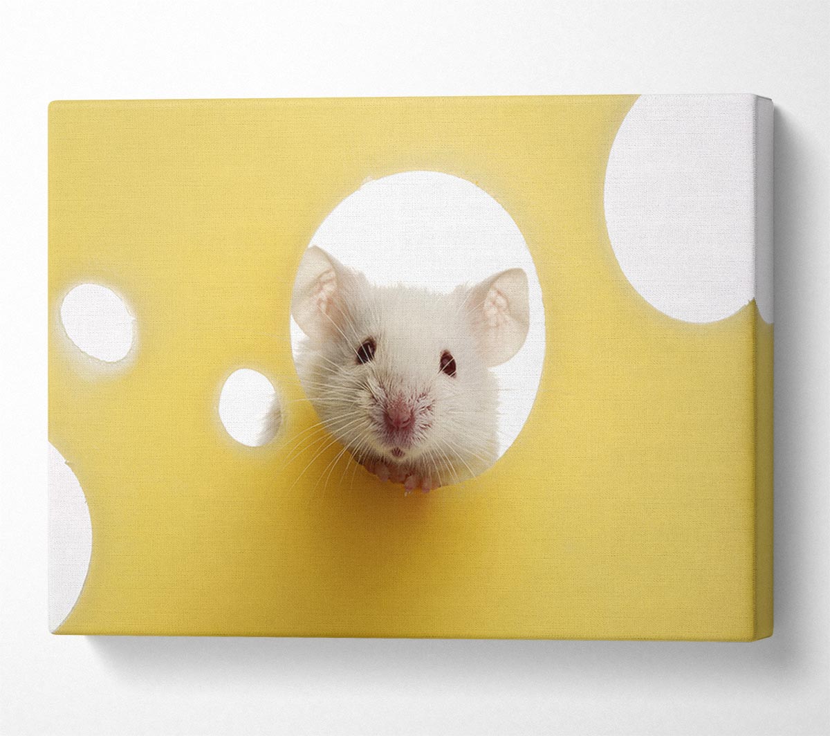 Cheesy Mouse Canvas Wall Art