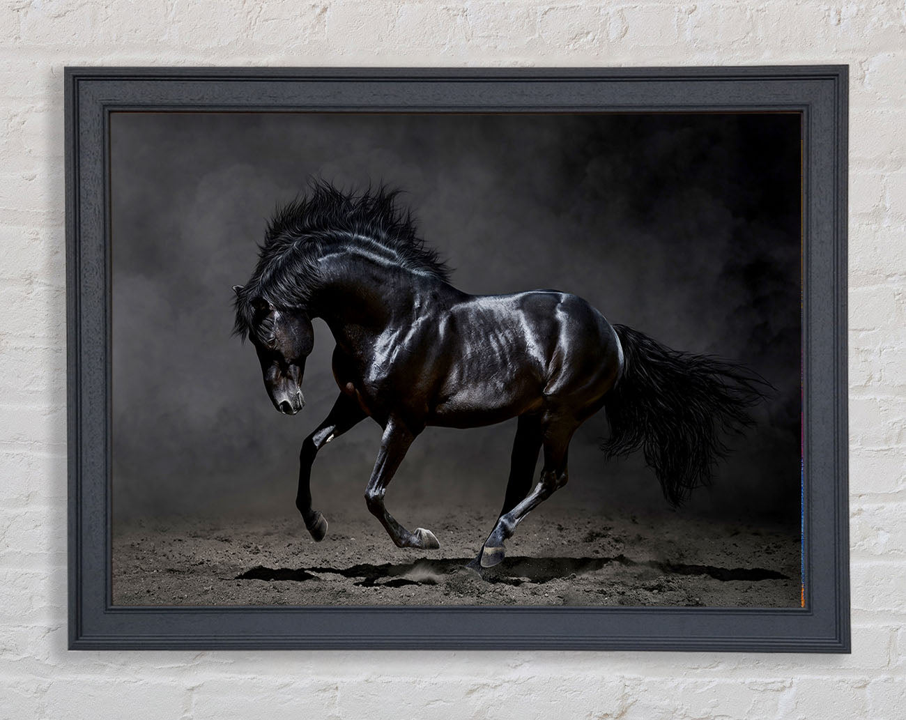 Black Beauty Horse Framed Wall Art
