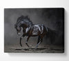 Black Beauty Horse Canvas Wall Art
