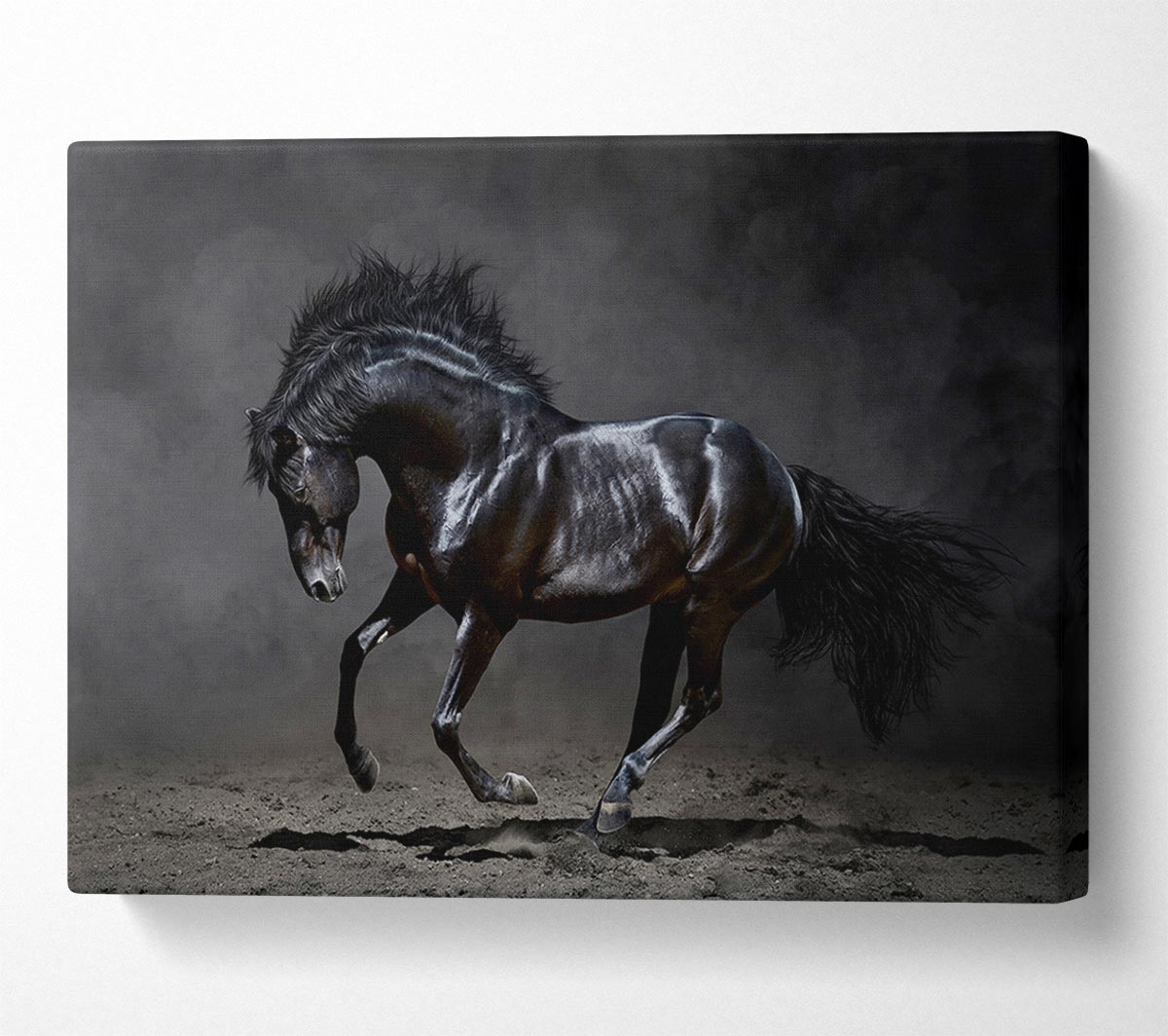 Black Beauty Horse Canvas Wall Art