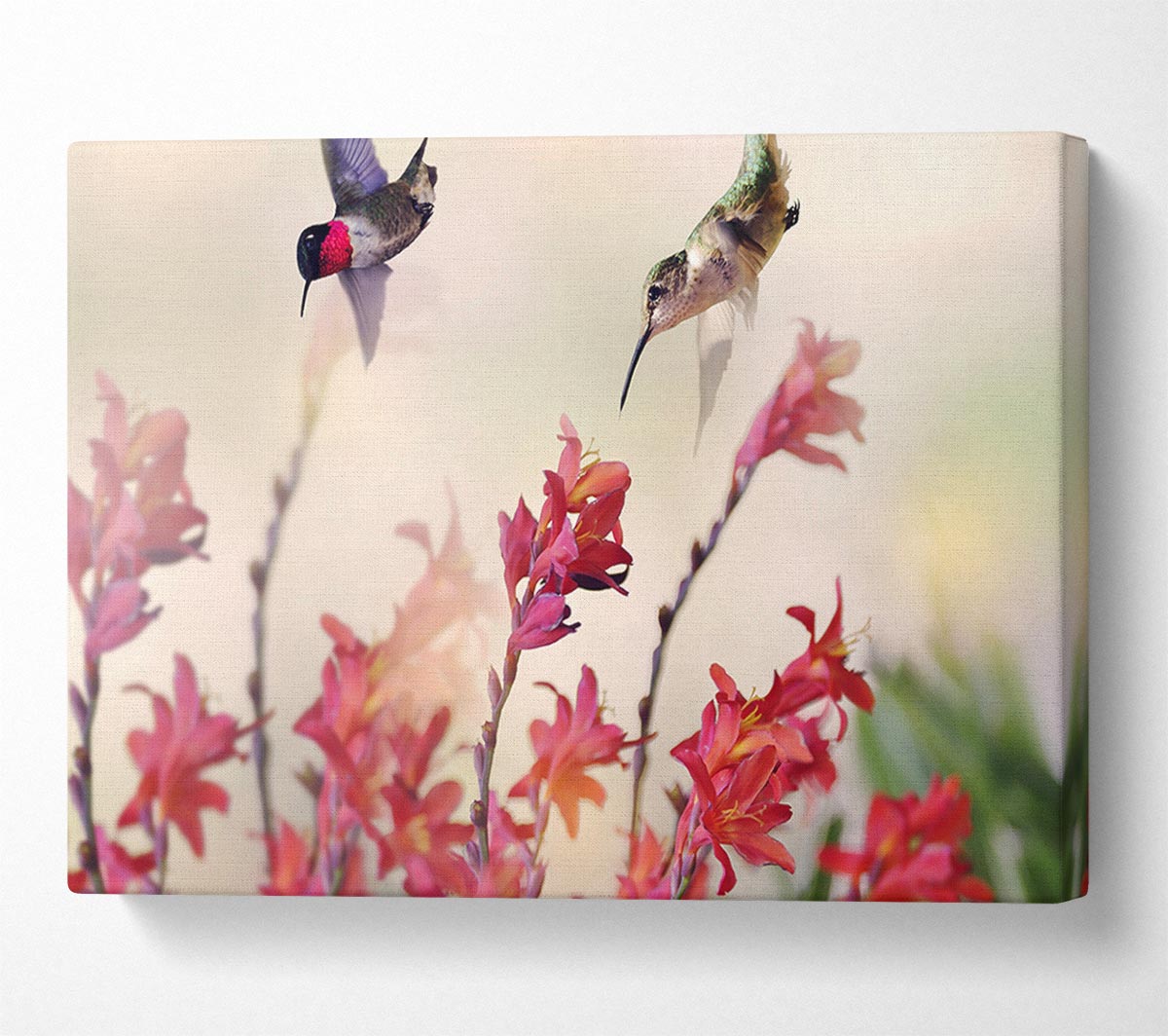 Hummingbird Delight Canvas Wall Art