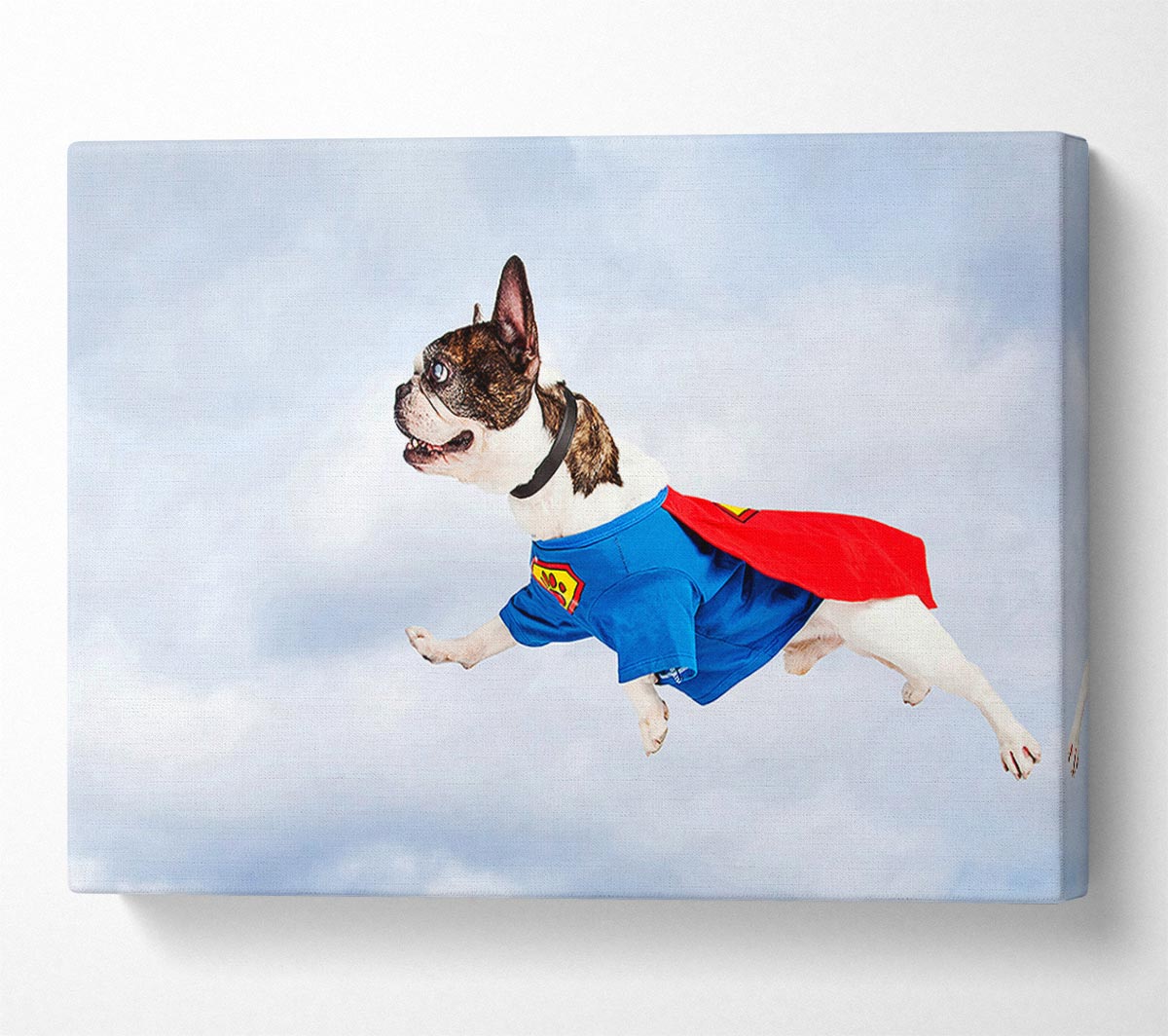 Super Dog Skies Canvas Wall Art