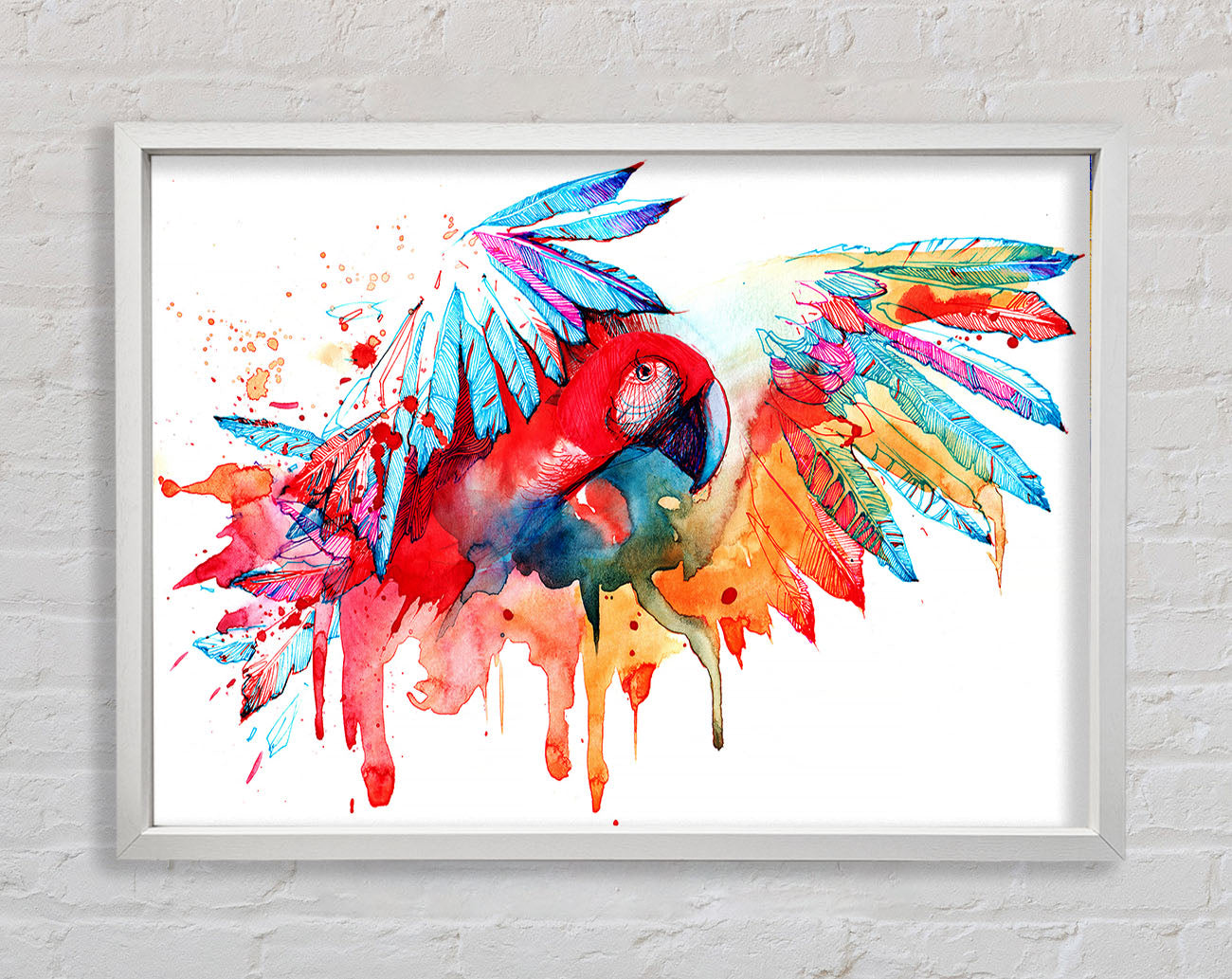 Colourful Parrot Framed Wall Art