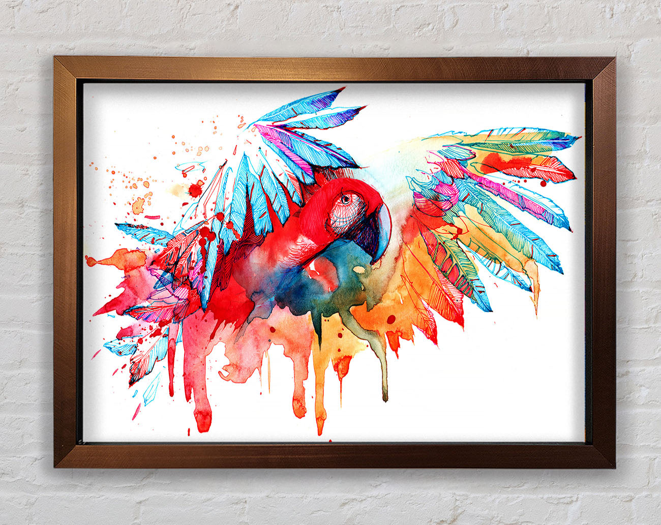 Colourful Parrot Framed Wall Art