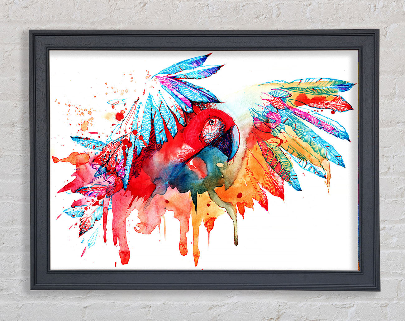 Colourful Parrot Framed Wall Art
