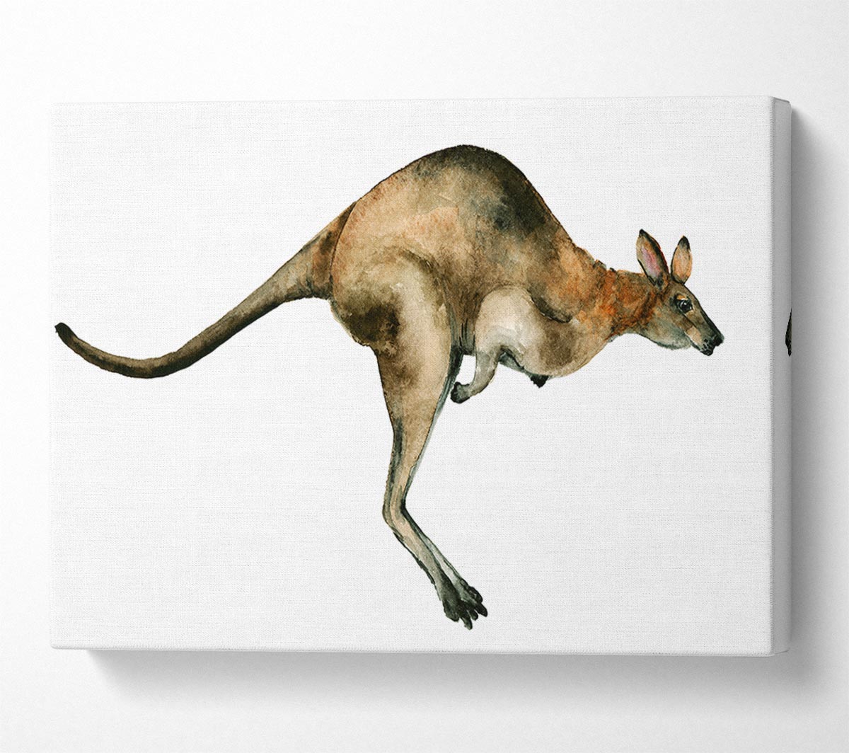 Kangaroo Hop Canvas Wall Art