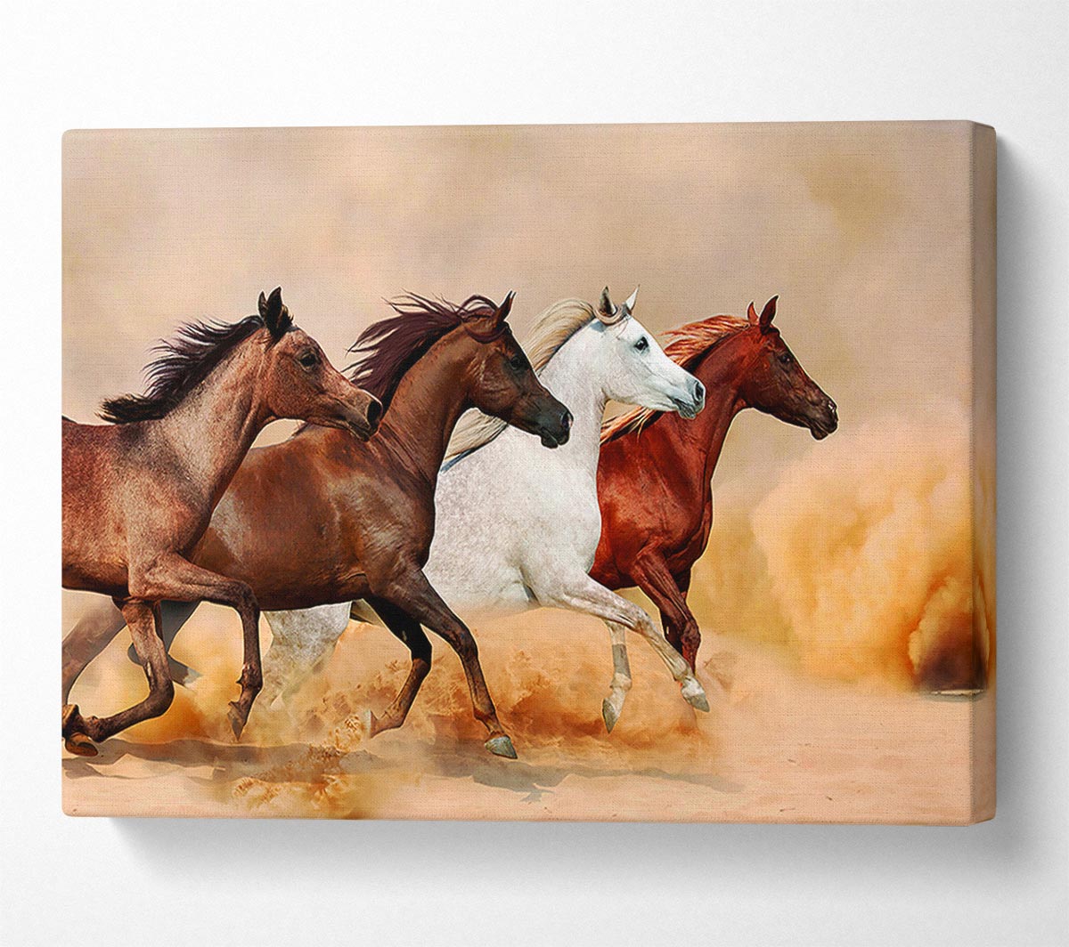 Horse Stampede Canvas Wall Art