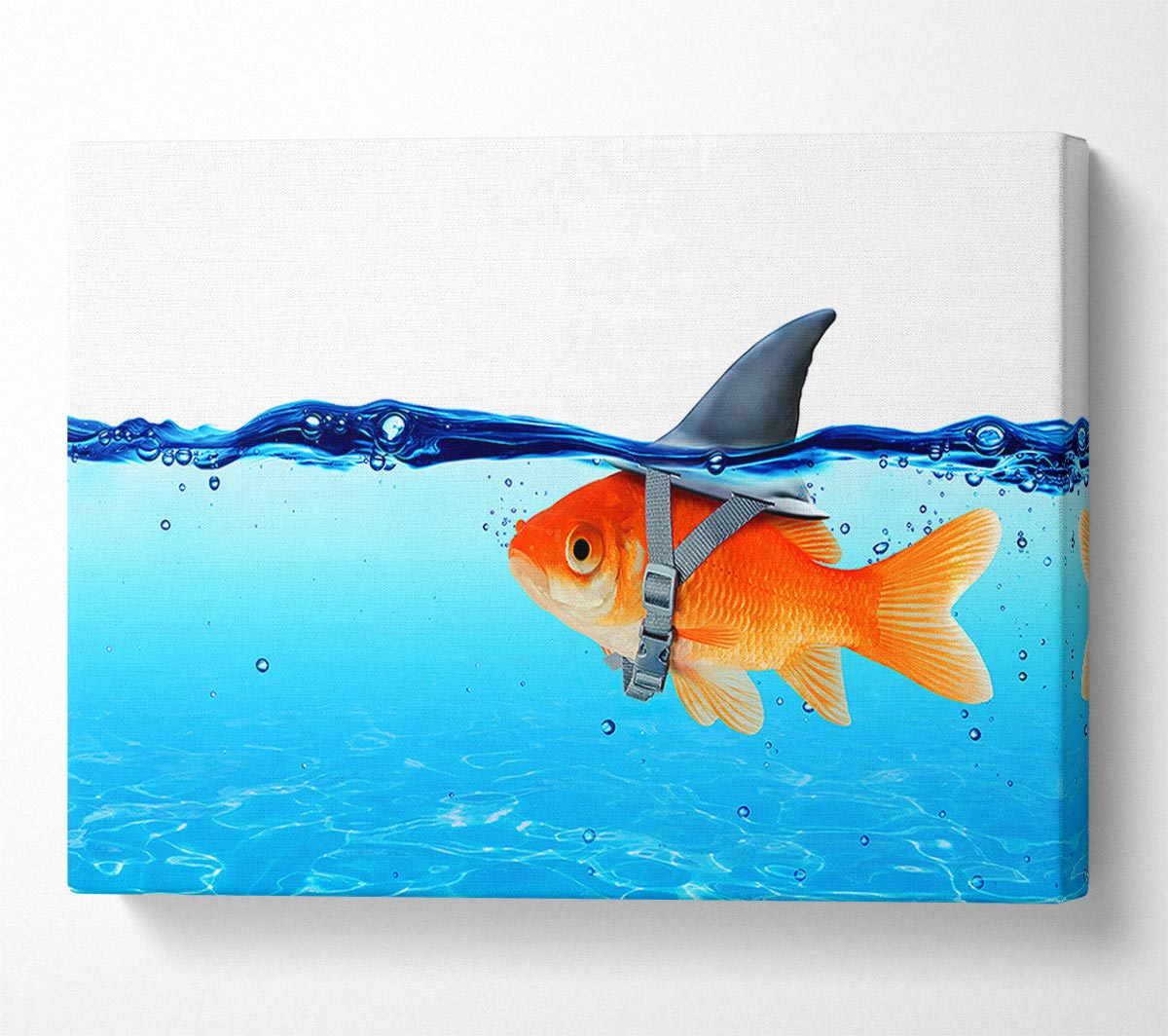 Goldfish Shark Canvas Wall Art