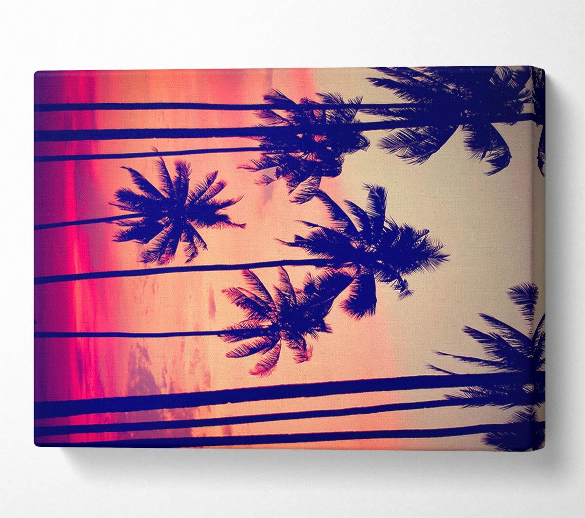 Californian Palm Trees Canvas Wall Art