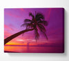 Palm Tree Skies Canvas Wall Art