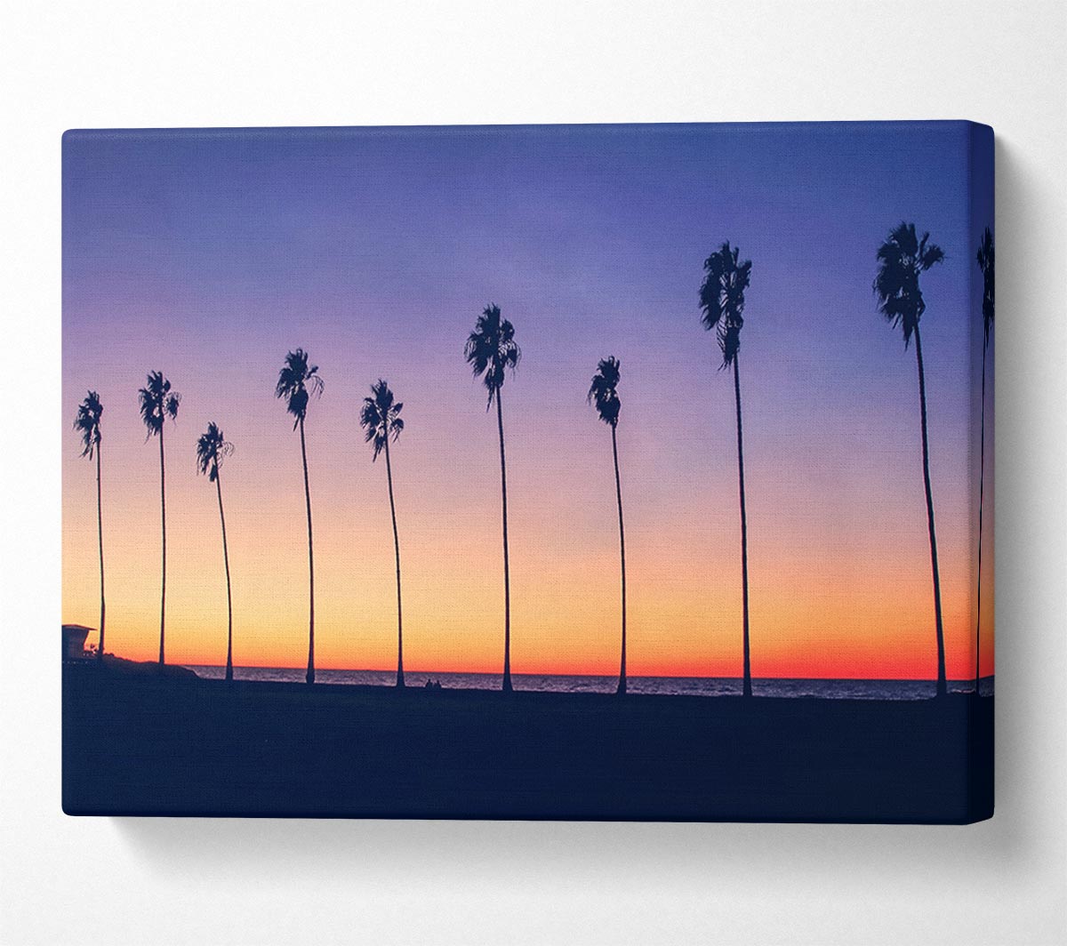 Palm Tree LineUp Canvas Wall Art