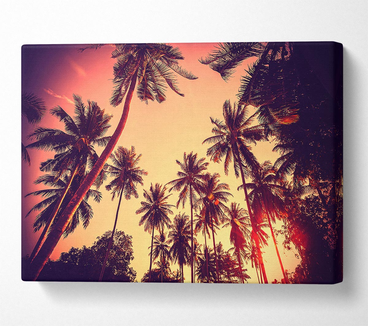 Just Palm Trees Canvas Wall Art