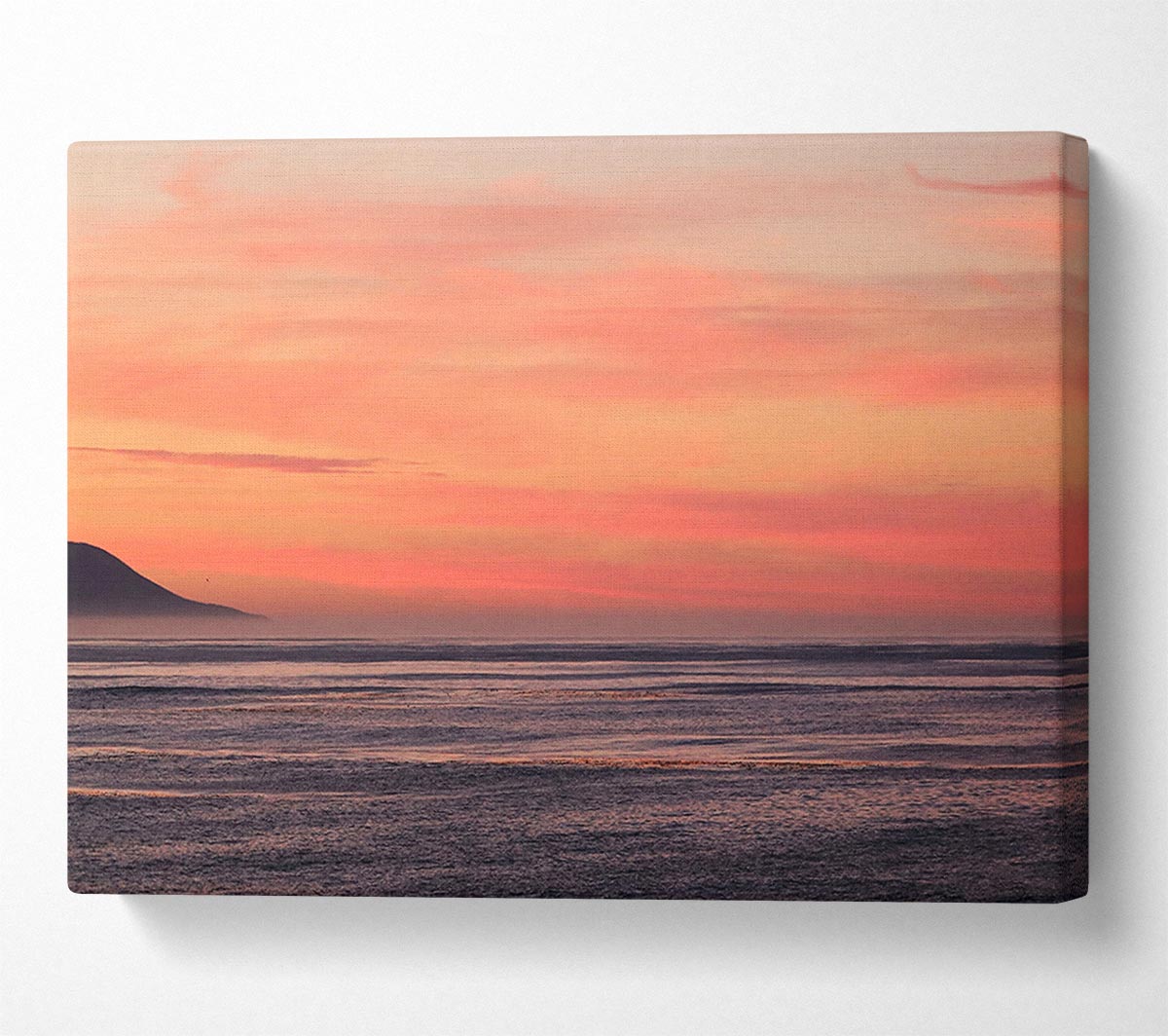 Pink Skies Canvas Wall Art