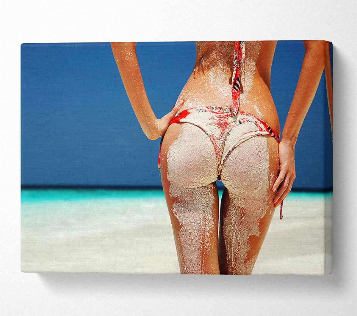 Cheeky Canvas Wall Art