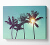 Sun Through The Palm Tree Skies Canvas Wall Art