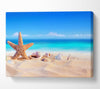 Shells In The Ocean Sands Canvas Wall Art
