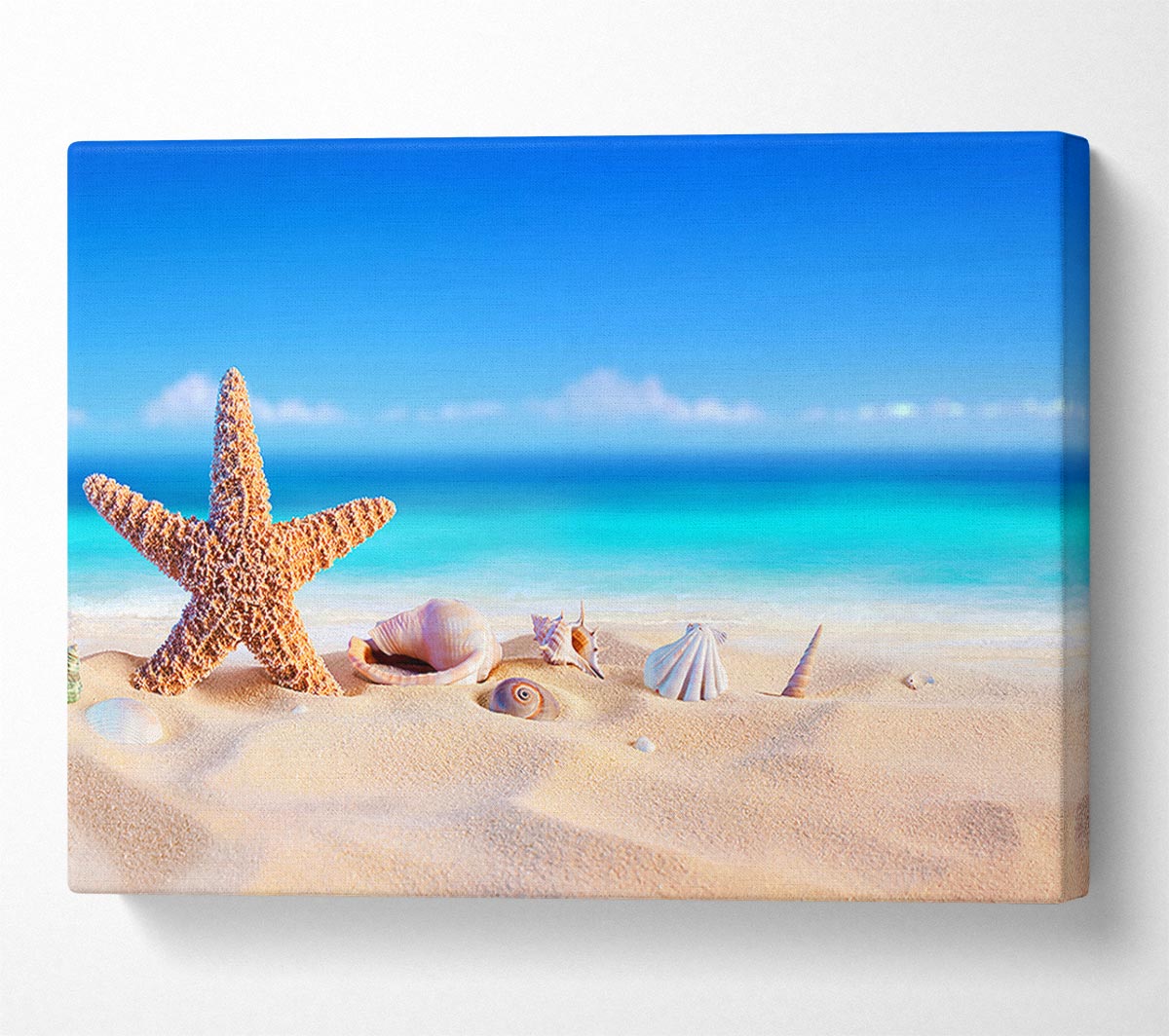 Shells In The Ocean Sands Canvas Wall Art