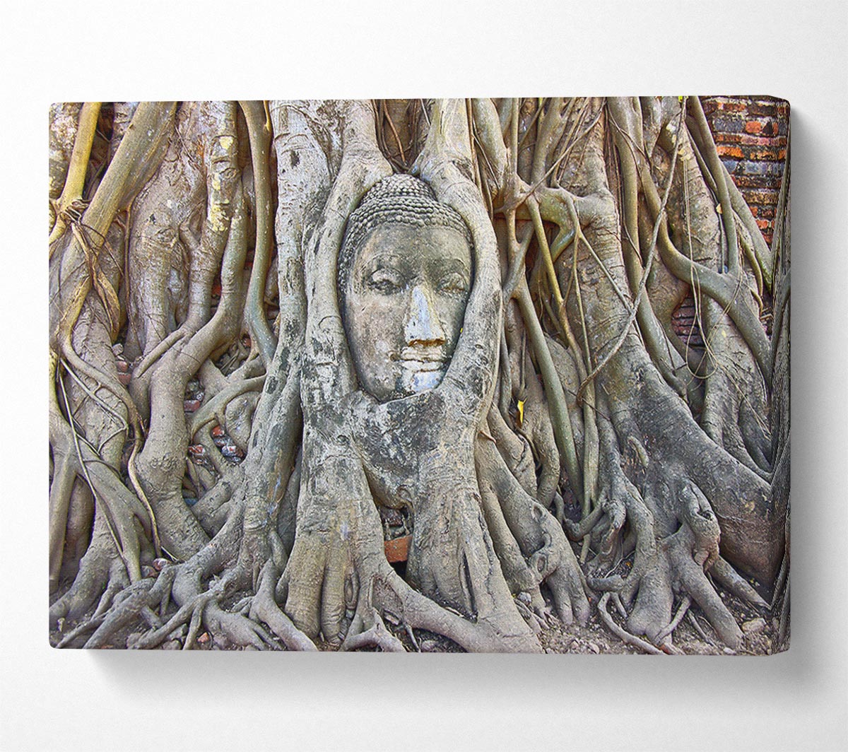 Buddha 21 Canvas Wall Art