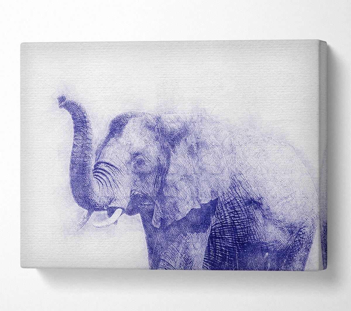 Beautiful Indian Elephant Canvas Wall Art