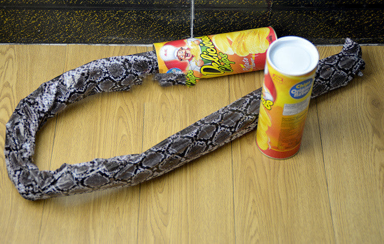 April Fool's Day Gift Students Spoof Potato Chip Snake