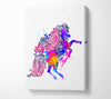Rainbow Splash HorseA Canvas Wall Art