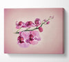 Pink Orchid Canvas Wall Art