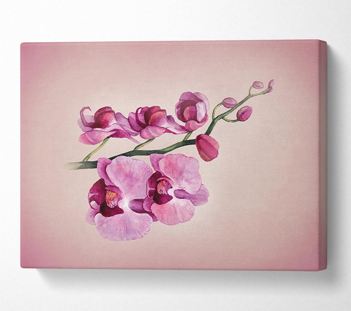 Pink Orchid Canvas Wall Art