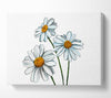 White Daisy Trio Canvas Wall Art