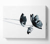 Black Poppy Abstract Canvas Wall Art