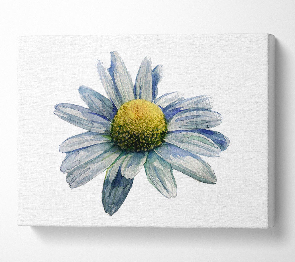 Single Daisy Head Canvas Wall Art