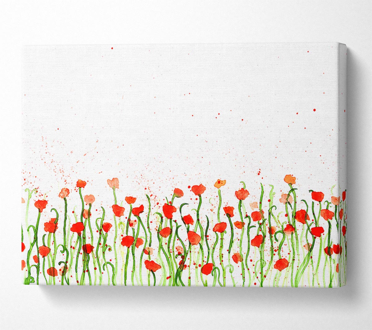 Red Poppy Garden Splash Canvas Wall Art