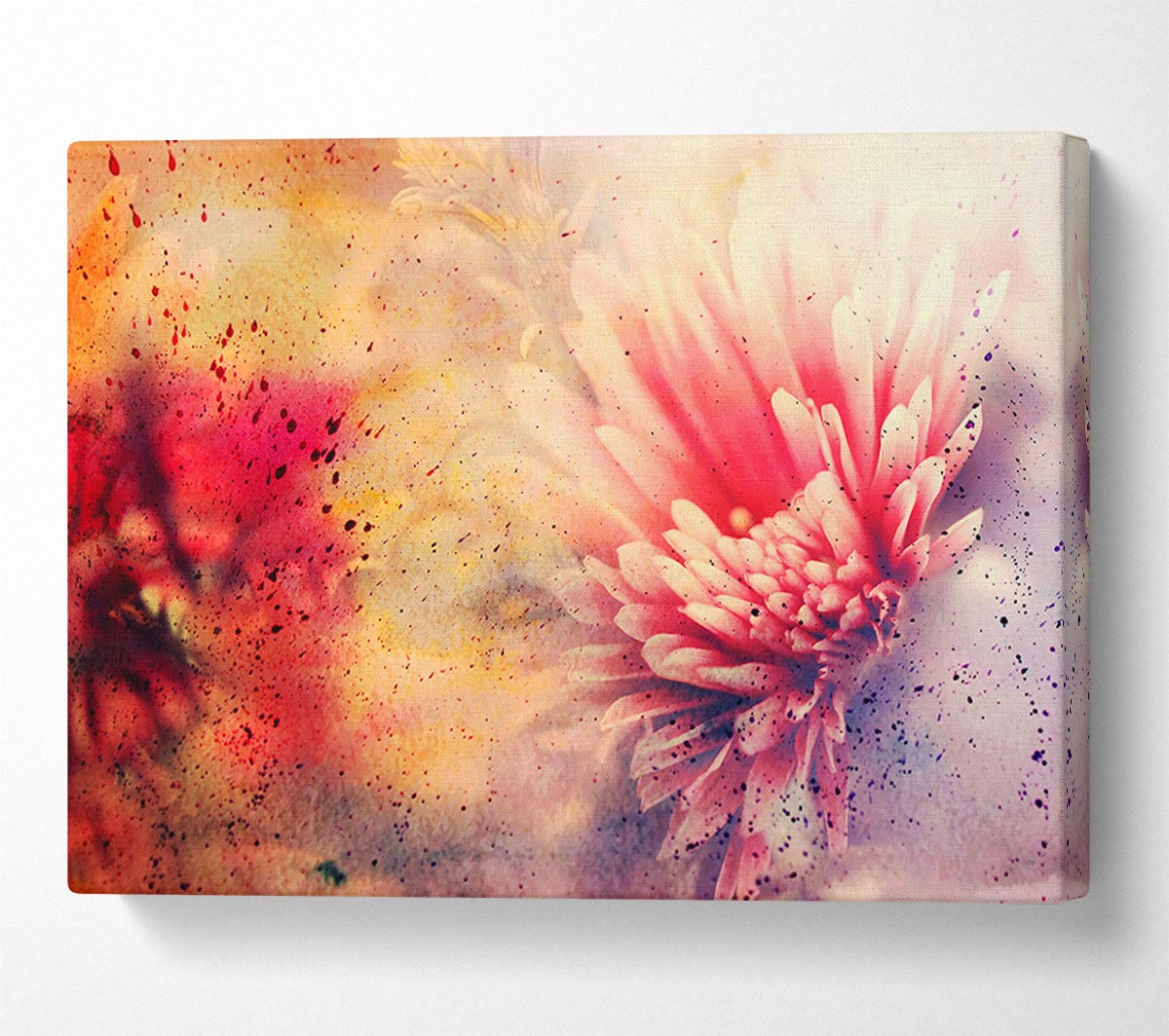 Pink Splash Canvas Wall Art