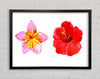 Amaryllis Beauty Framed Wall Art