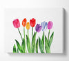 Tulip Rainbow Canvas Wall Art