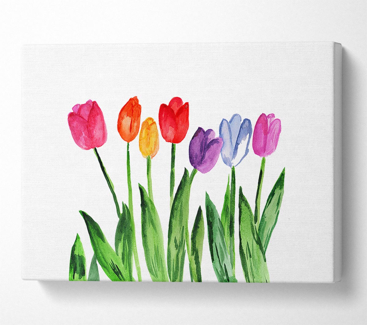Tulip Rainbow Canvas Wall Art