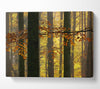 Golden Light Through The Trees Canvas Wall Art