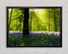 Bluebell Sun Blaze Framed Wall Art