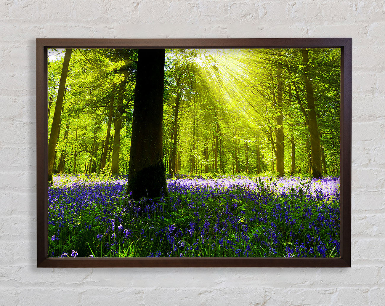 Bluebell Sun Blaze Framed Wall Art