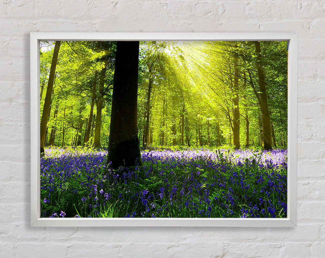 Bluebell Sun Blaze Framed Wall Art