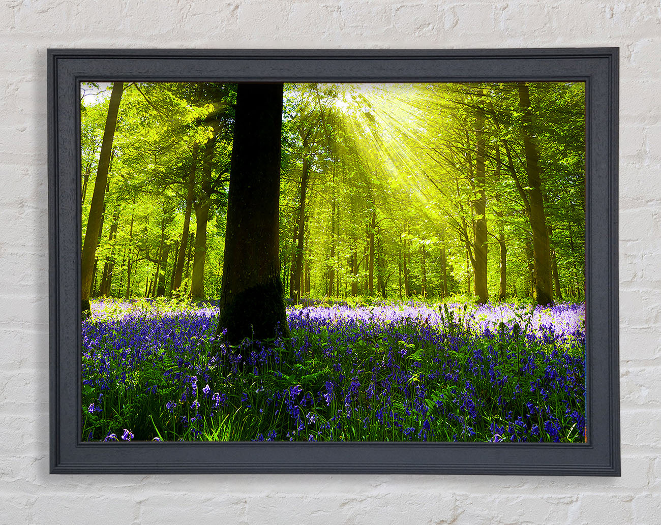 Bluebell Sun Blaze Framed Wall Art